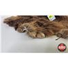 Image 3 : Beaver Pelt (Measures : 23"H x 18"L)