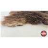 Image 5 : Beaver Pelt (Measures : 23"H x 18"L)