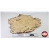 Image 6 : Beaver Pelt (Measures : 23"H x 18"L)