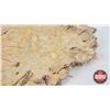 Image 7 : Beaver Pelt (Measures : 23"H x 18"L)