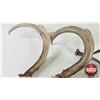 Image 10 : Antler Sheds (7) : Variety