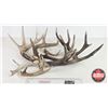 Image 1 : Antler Sheds (7) : Variety