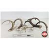 Image 7 : Antler Sheds (7) : Variety