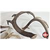 Image 8 : Antler Sheds (7) : Variety