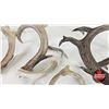 Image 9 : Antler Sheds (7) : Variety