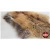 Image 2 : Red Fox Hat & Pelt (Pelt Measures : 21"L)
