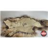 Image 5 : Red Fox Hat & Pelt (Pelt Measures : 21"L)