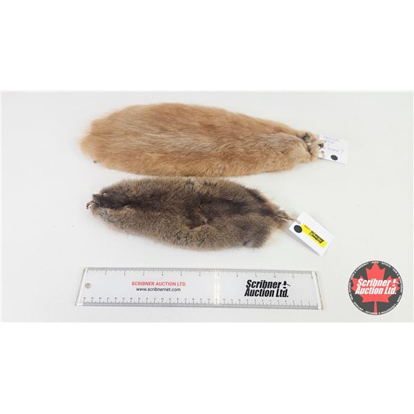 Combo (2) : Pelt Tubes - Tanned Muskrat - Mink Pelt (?)