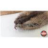 Image 2 : Combo (2) : Pelt Tubes - Tanned Muskrat - Mink Pelt (?)