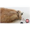 Image 6 : Combo (2) : Pelt Tubes - Tanned Muskrat - Mink Pelt (?)