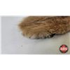 Image 7 : Combo (2) : Pelt Tubes - Tanned Muskrat - Mink Pelt (?)
