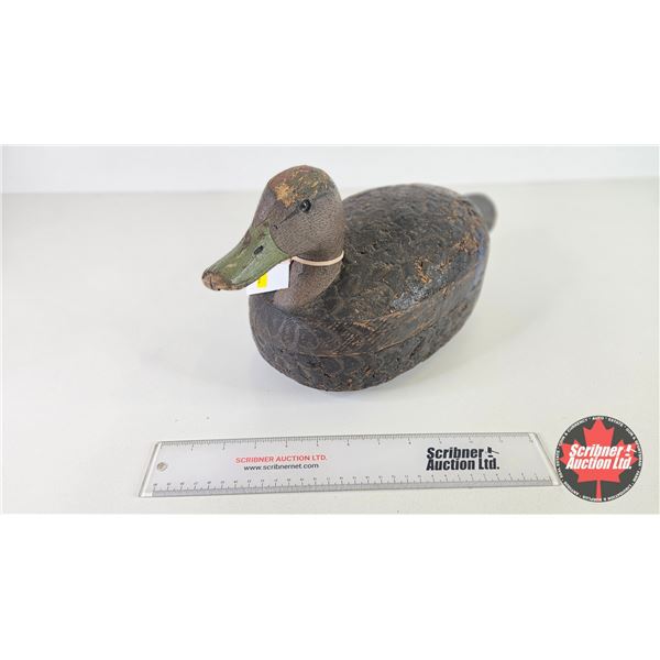 Wooden Duck Decoy  (Consignor Tag : Black Duck Drake : Working Decoy : Cork : 1950's) (Measures: 8-1