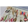 Image 6 : Fishing Lures (48) with Plastic Storage Case  (Case Measures: 1-1/2"H x 12-1/2"W x 11"D)