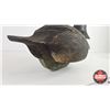 Image 15 : Wooden Duck Decoys (2) (Consignor Tag - Working Blue Bill : 1950's) (Measures : 8"H x 7"W x 15")