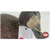 Image 7 : Wooden Duck Decoys (2) (Consignor Tag - Working Blue Bill : 1950's) (Measures : 8"H x 7"W x 15")