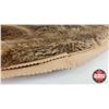 Image 3 : Tanned Beaver Pelt (Measures : 27"W x 35"L)