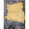 Image 2 : Tanned Moose Hide (Approx. 30sq ft)