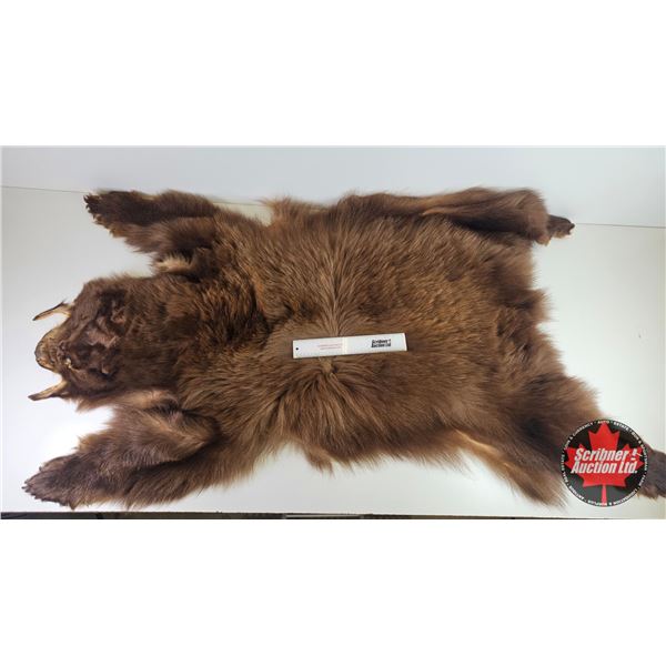 Bear Rug (Measures : 65"L x 54"W)