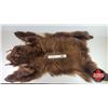 Image 1 : Bear Rug (Measures : 65"L x 54"W)