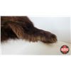 Image 4 : Bear Rug (Measures : 65"L x 54"W)