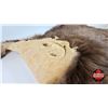 Image 8 : Bear Rug (Measures : 65"L x 54"W)