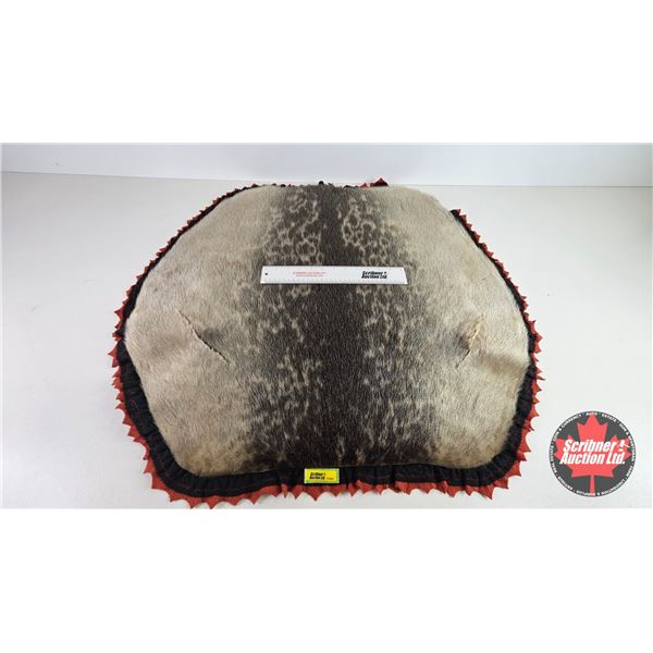 Seal Rug : 30" x 32" : Padded Backing