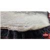 Image 3 : Seal Rug : 30" x 32" : Padded Backing