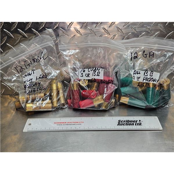 AMMO : Variety of 12ga 3" Shotshells (BB)  (41 Rnds TOTAL)
