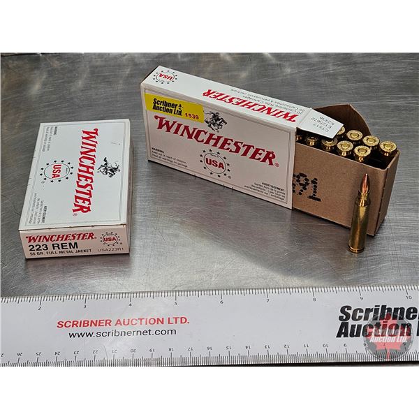 AMMO : Winchester : 223 Rem (55gr : FMJ)  (2 Boxes of 20 Rnds)  (40 Rnds TOTAL)
