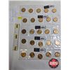 Image 1 : Saskatchewan Roughriders Centennial $1 (Loonie) Circulation "5" Packs (2010) (25 Coins Total)