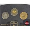 Image 3 : RCM Canada 2001 : Uncirculated 7-Coin Set : Tiny Treasures