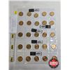 Image 1 : Saskatchewan Roughriders Centennial $1 (Loonie) Circulation "5" Packs (2010) (25 Coins Total)