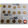 Image 5 : Saskatchewan Roughriders Centennial $1 (Loonie) Circulation "5" Packs (2010) (25 Coins Total)