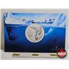 Image 1 : RCM Canada 2012 $20 Fine Silver Coin : Polar Bear (99.99%)