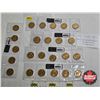 Image 1 : Saskatchewan Roughriders Centennial $1 (Loonie) Circulation "5" Packs (2010) (25 Coins Total)