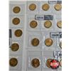 Image 5 : Saskatchewan Roughriders Centennial $1 (Loonie) Circulation "5" Packs (2010) (25 Coins Total)