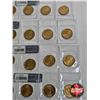 Image 6 : Saskatchewan Roughriders Centennial $1 (Loonie) Circulation "5" Packs (2010) (25 Coins Total)