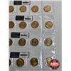Image 3 : Saskatchewan Roughriders Centennial $1 (Loonie) Circulation "5" Packs (2010) (25 Coins Total)