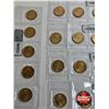 Image 5 : Saskatchewan Roughriders Centennial $1 (Loonie) Circulation "5" Packs (2010) (25 Coins Total)