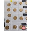 Image 2 : Saskatchewan Roughriders Centennial $1 (Loonie) Circulation "5" Packs (2010) (25 Coins Total)
