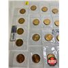 Image 5 : Saskatchewan Roughriders Centennial $1 (Loonie) Circulation "5" Packs (2010) (25 Coins Total)