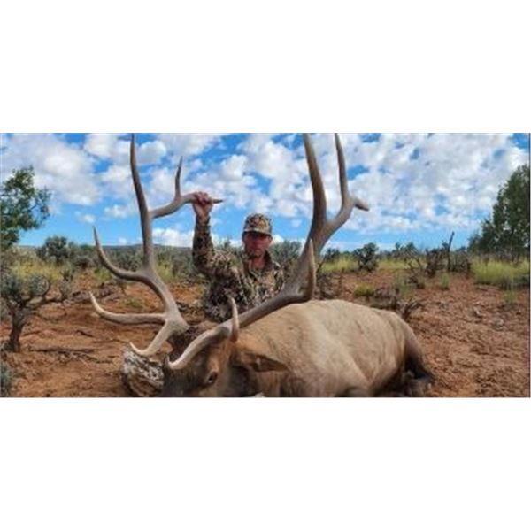 Fully Guided Trophy Elk Hunt in GMU 6C New Mexico w/  Superior Outfitters