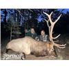 Image 7 : Fully Guided Trophy Elk Hunt in GMU 6C New Mexico w/  Superior Outfitters