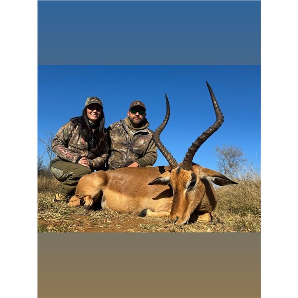 South Africa Hunting (Multiple Trophies)