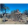 Image 3 : South Africa Hunting (Multiple Trophies)