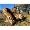 Image 4 : South Africa Hunting (Multiple Trophies)