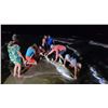 Image 4 : Texas Coast Shark Fishing