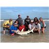 Image 6 : Texas Coast Shark Fishing
