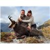Image 4 : New Zealand Trophy Stag