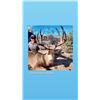 Image 2 : Old Mexico Trophy Mule Deer